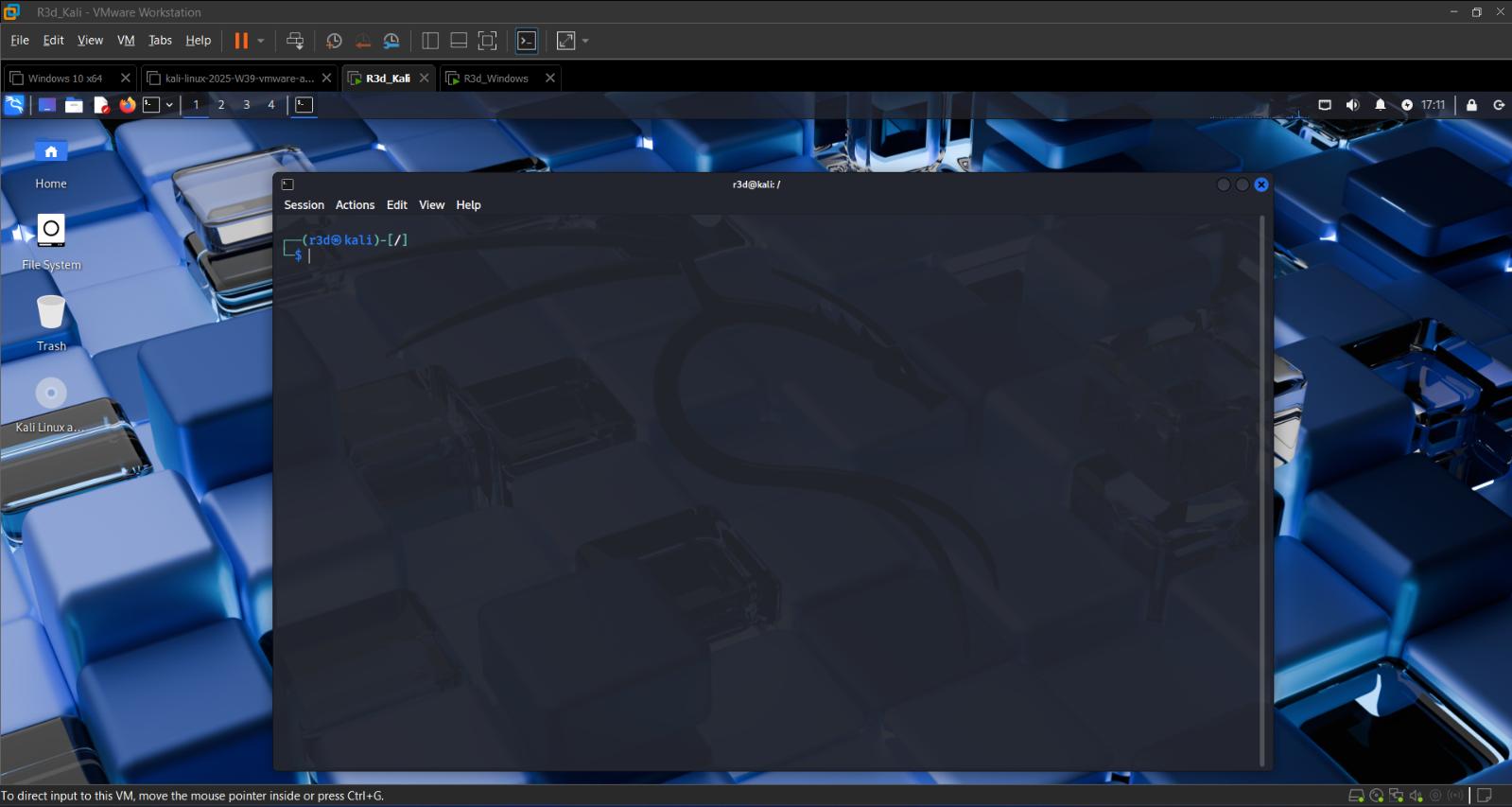 Kali Linux terminal